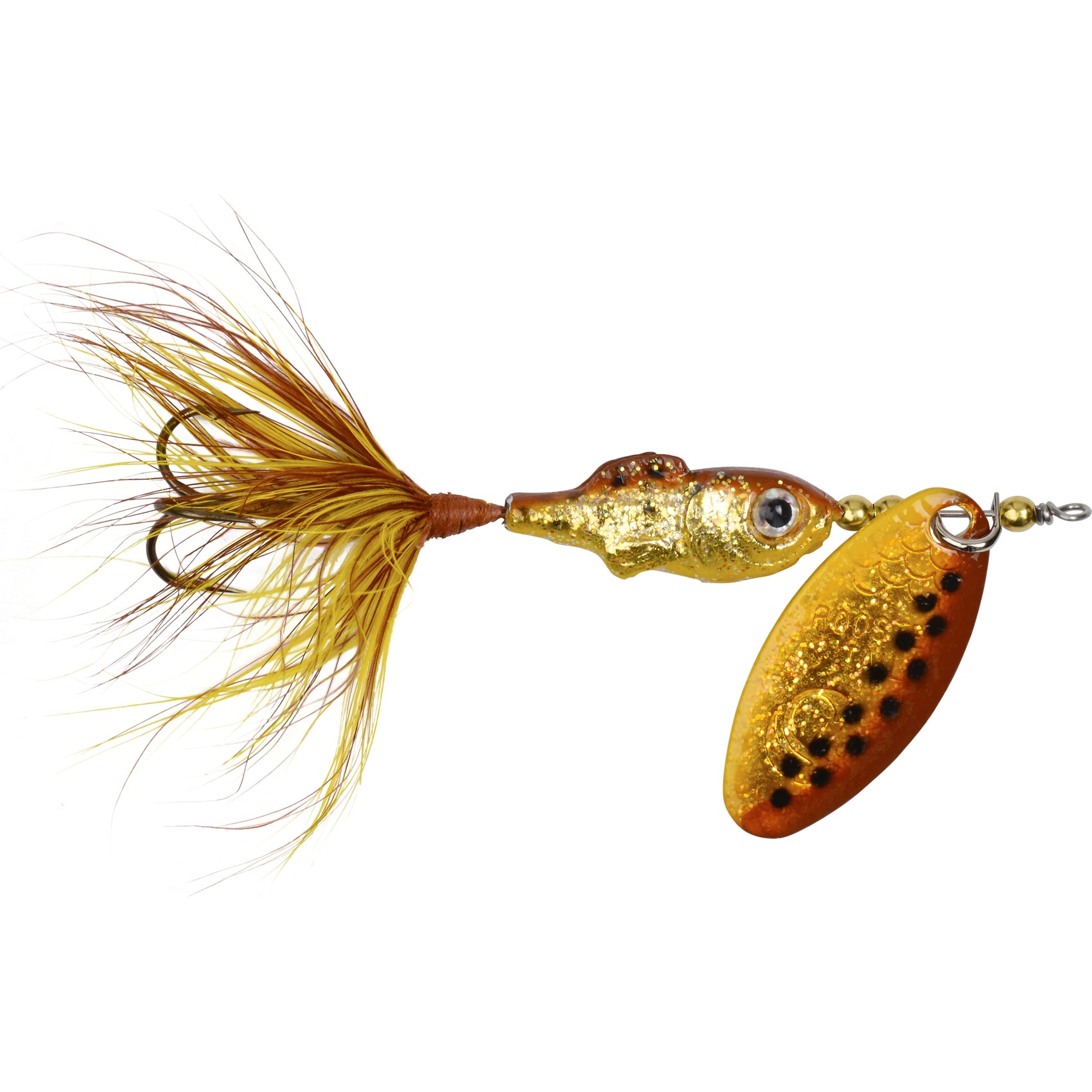 fish product photography fish product photography