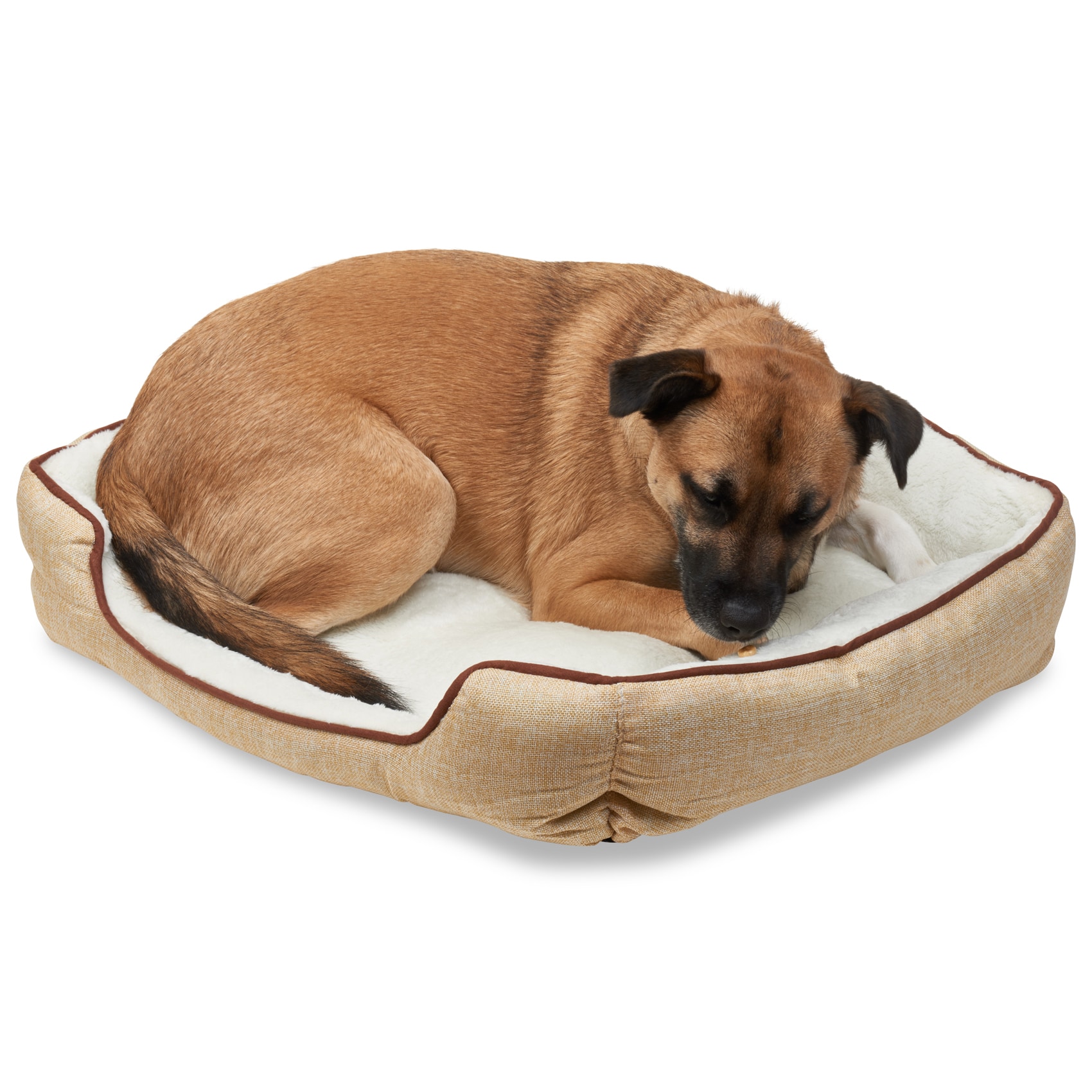 Pet Product Photography Pet Product Photography